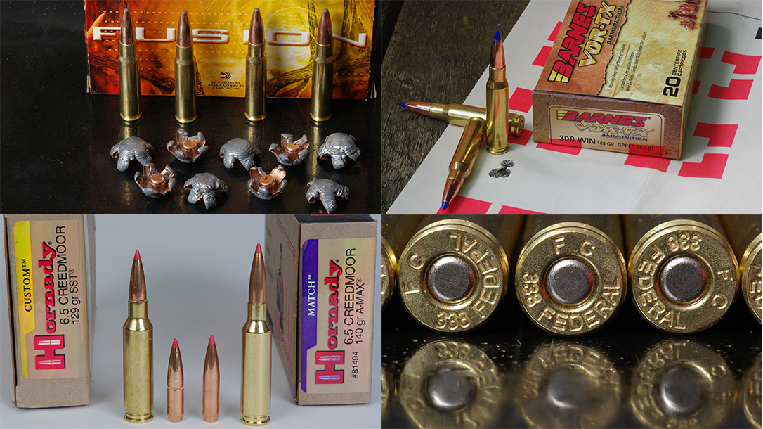 ar-10 style rifle ammo