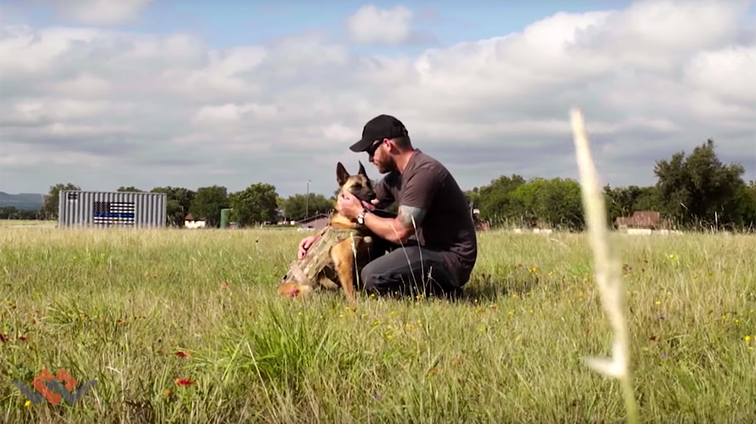 Warriors Heart PTSD dog