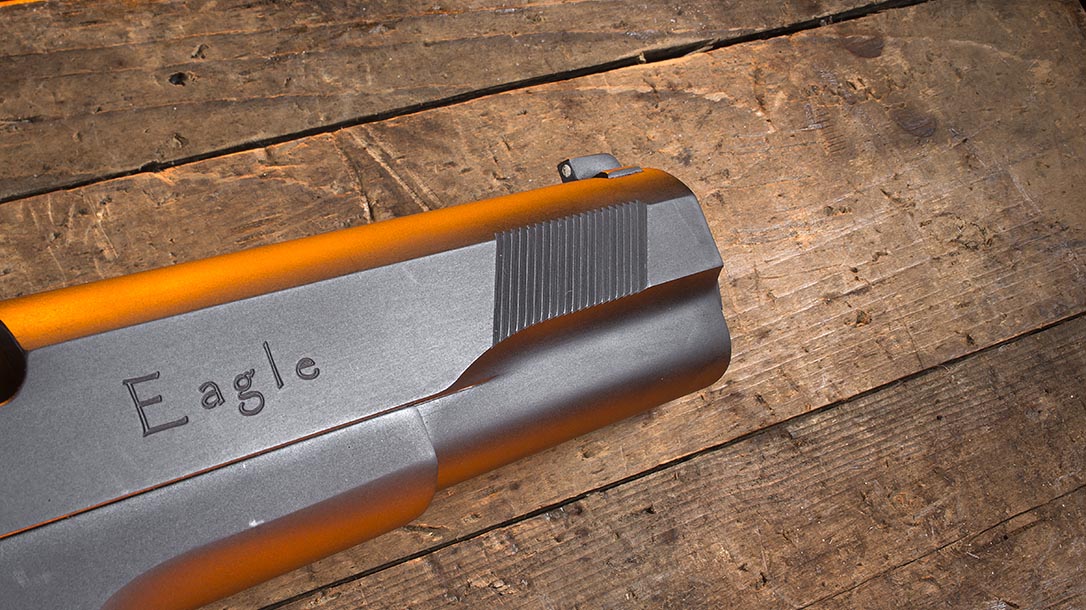 Iver Johnson Eagle XL pistol front serrations