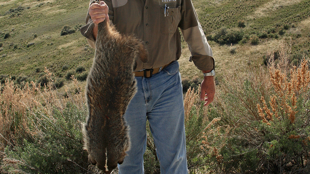 smith wesson model 647 varminter revolver badger