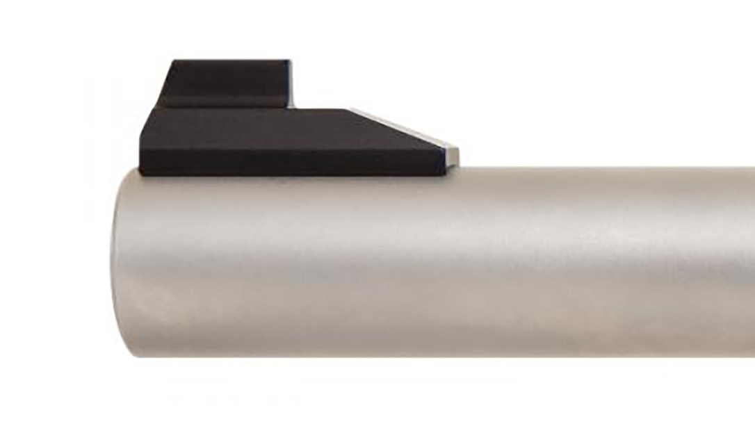 SW22 Victory Target Model pistol barrel sight