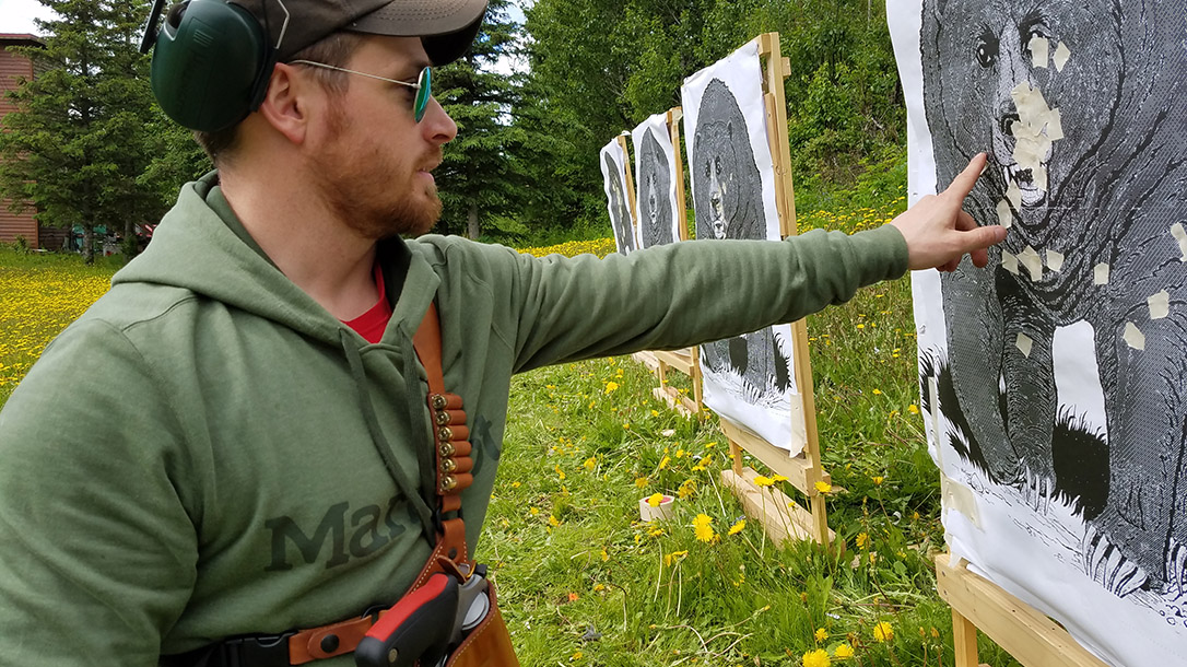 Bear Defense, target, bears, training