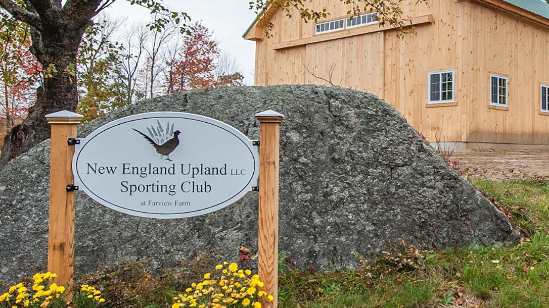 Predator Hunting New England Upland Shooting Preserve