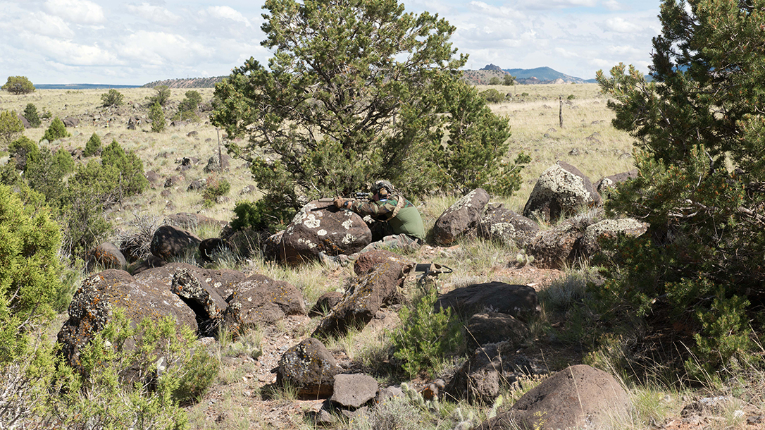 scoped carbine buck doyle desert shoot