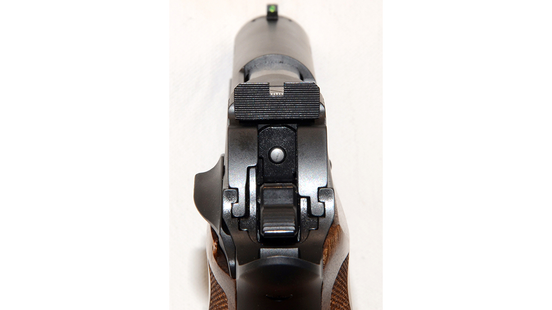 Sig P210 Target pistol sights