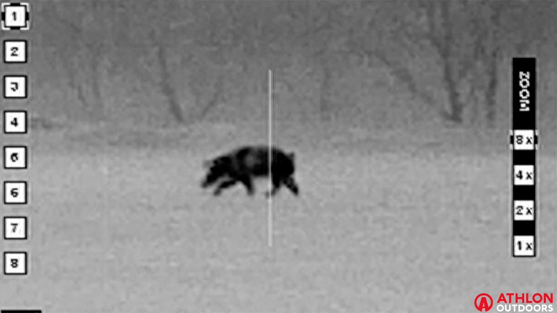 Wild Pig Hunt, Night hunting, beast master hunting