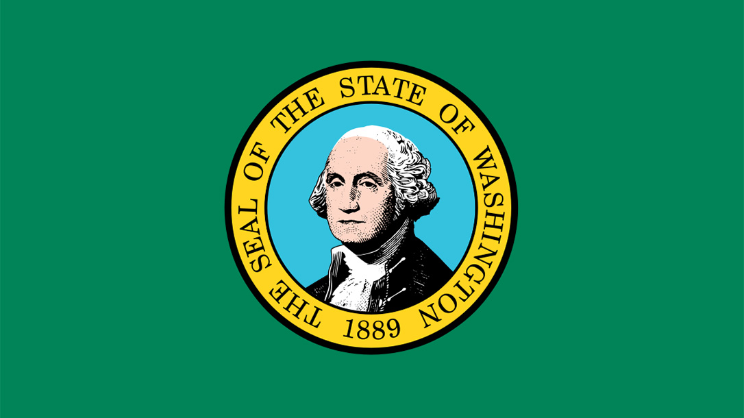 washington state flag paul allen