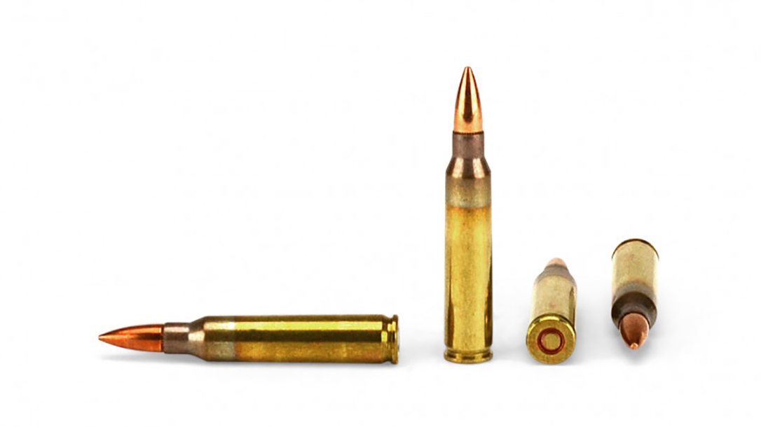 Ammunition Depot condor tactical ready rig ammo rounds