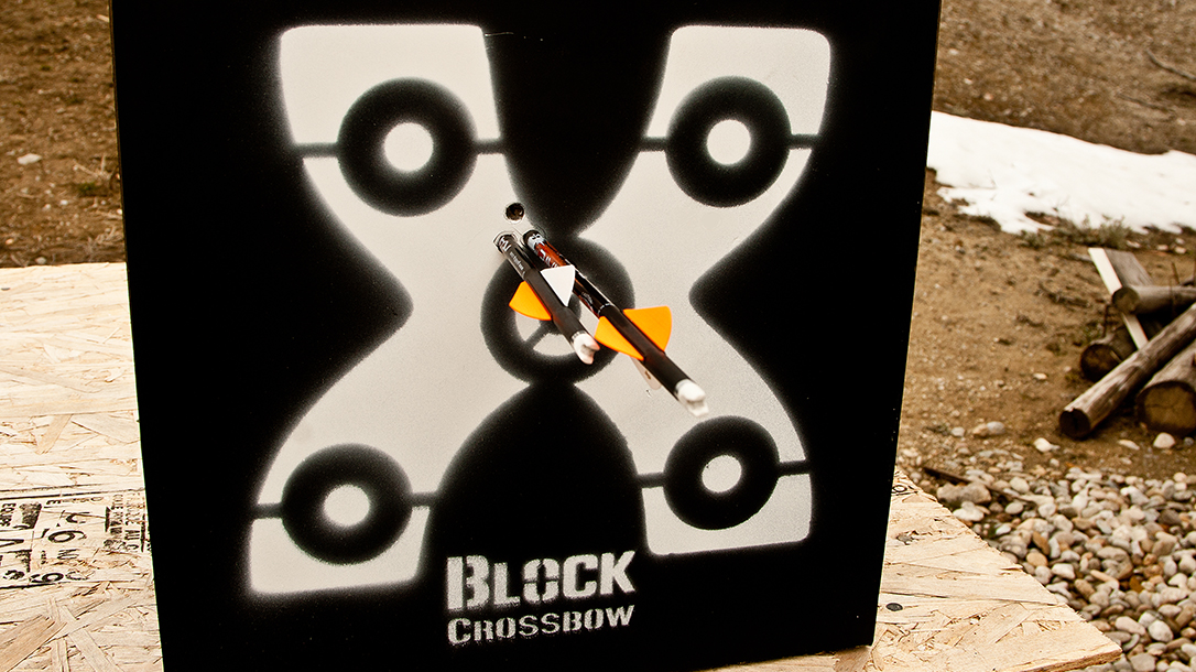 Ravin R9 Predator Camo Crossbow target