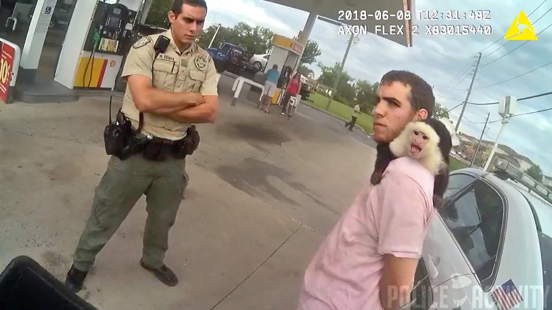 FLORIDA MAN PET MONKEY ARREST
