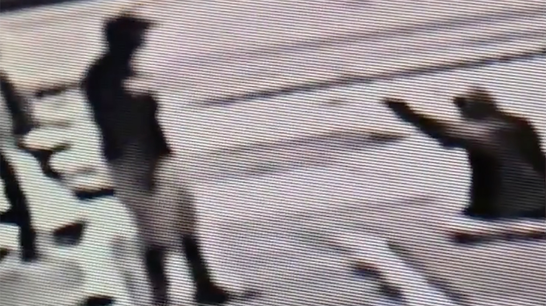 Michael Drejka, manslaughter, florida stand your ground shooting