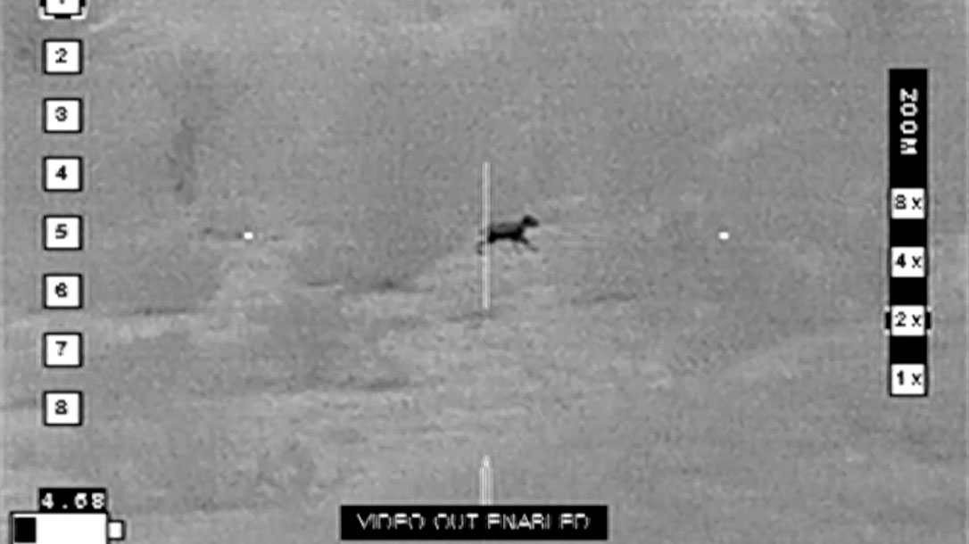 Jackrabbit Hunt, West Texas, hunting, varmint hunting, beast master hunting