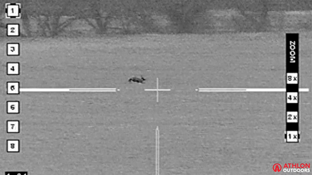 Jackrabbit Hunting, Texas Hunting