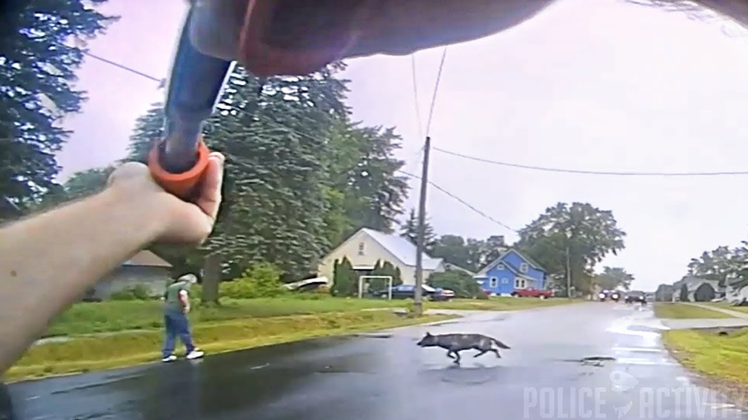 marshfield police bean bag rounds