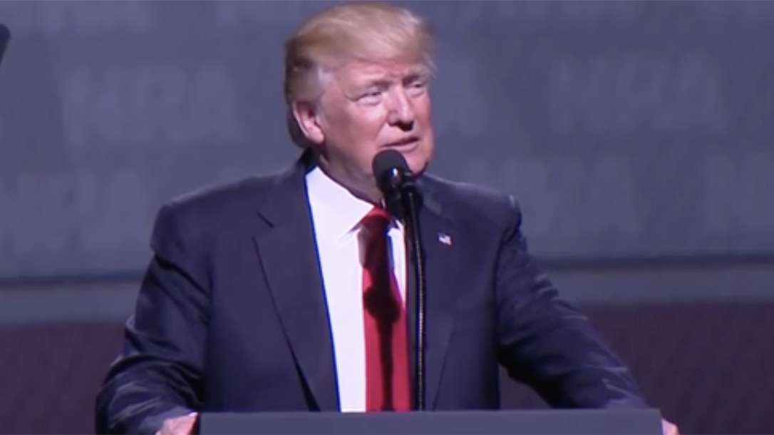 Nevada Sociology Professor, Donald Trump, background checks