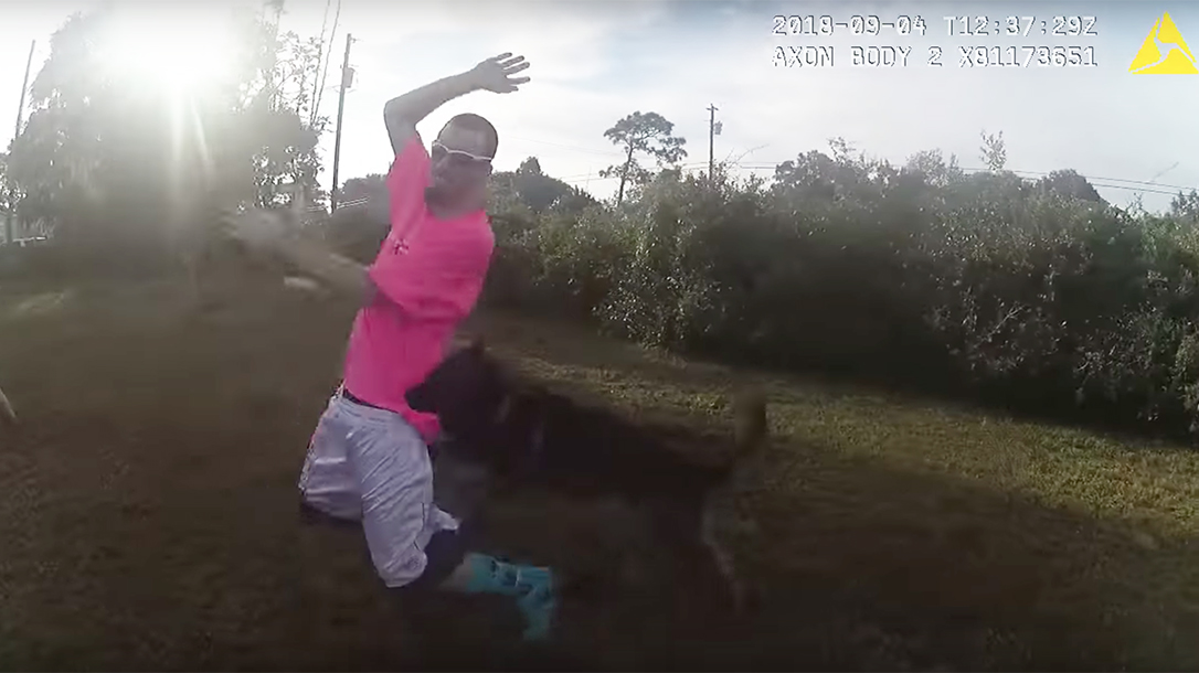 K9 Shep apprehends suspect, Pasco Sheriff's Office