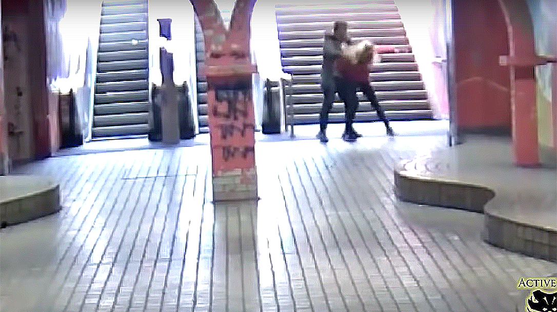 Young German Woman Fights Off Attackers