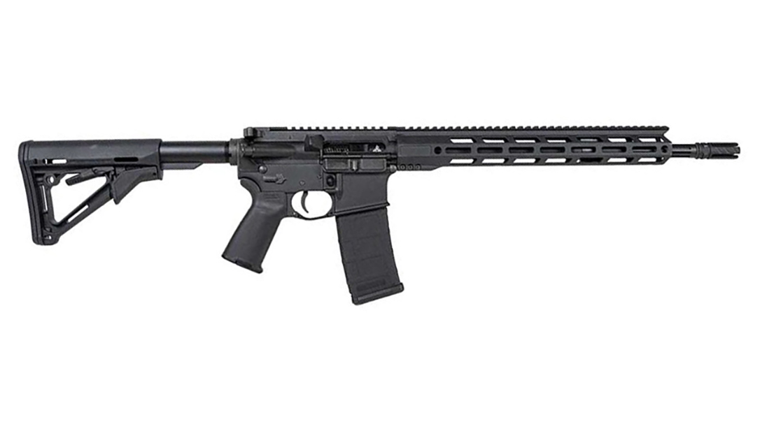 Rise Armament Watchman .223 Wylde