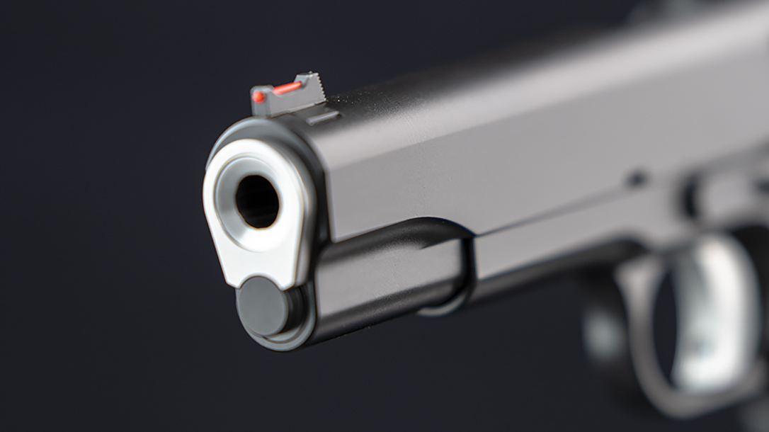 Nighthawk Custom Trooper