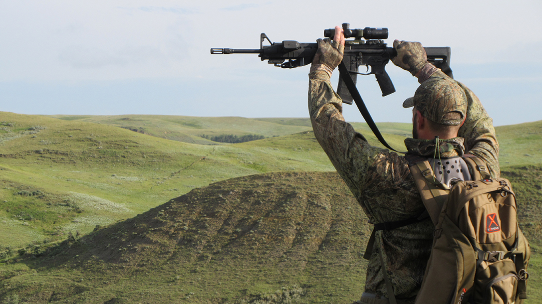 Laser Sights for Hunting