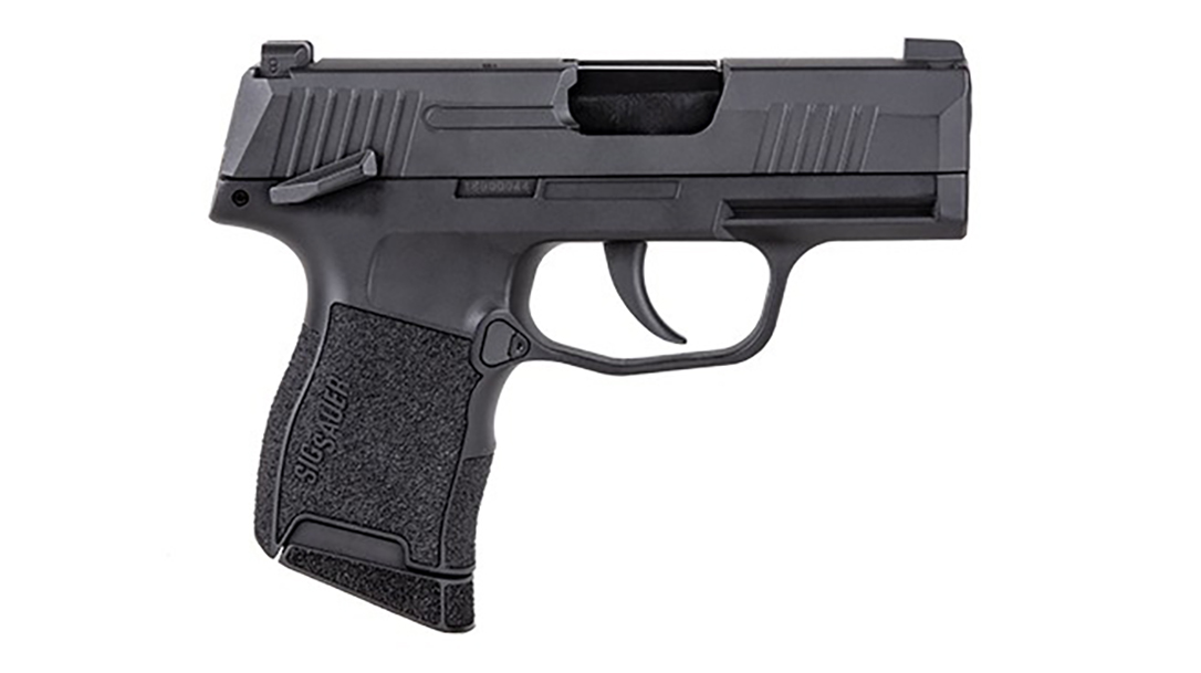 P365 BB Pistol