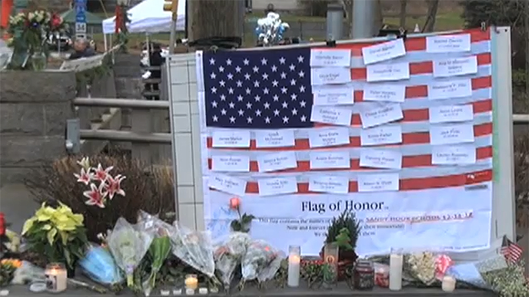 School Shooting Incidents, Sandy Hook