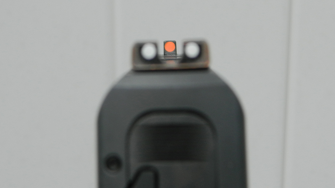 Front Sight Focus