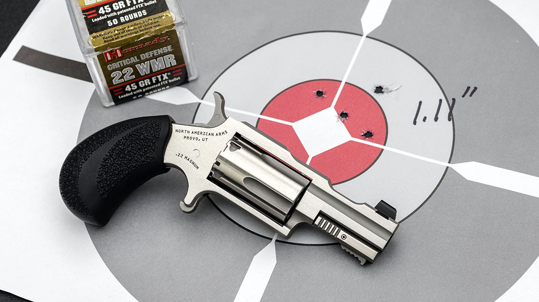 North American Arms Bug II, Hornady, Target