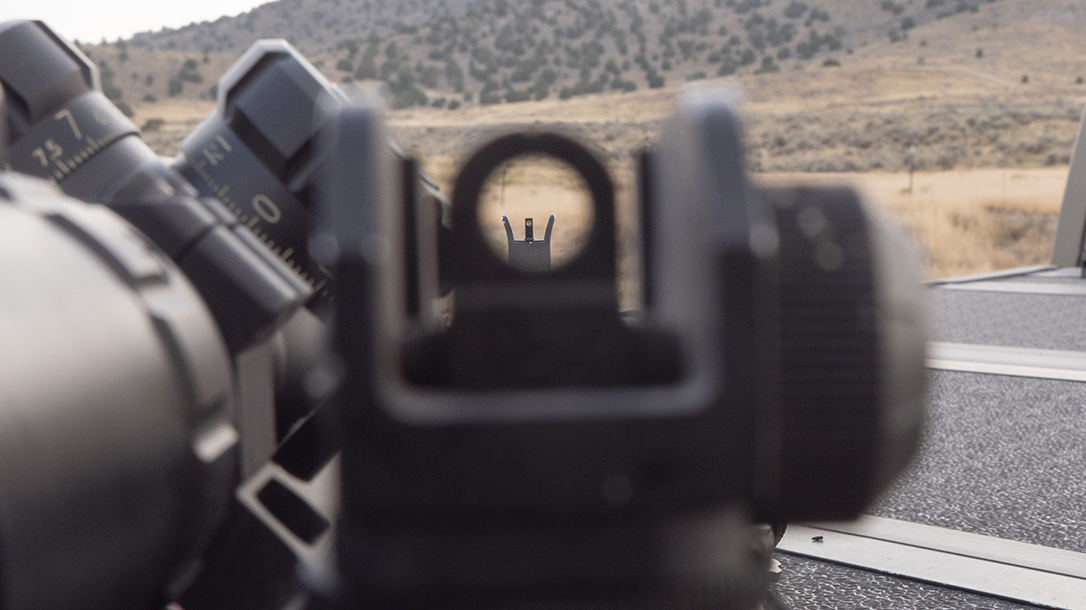 Dueck Defense Iron Sight