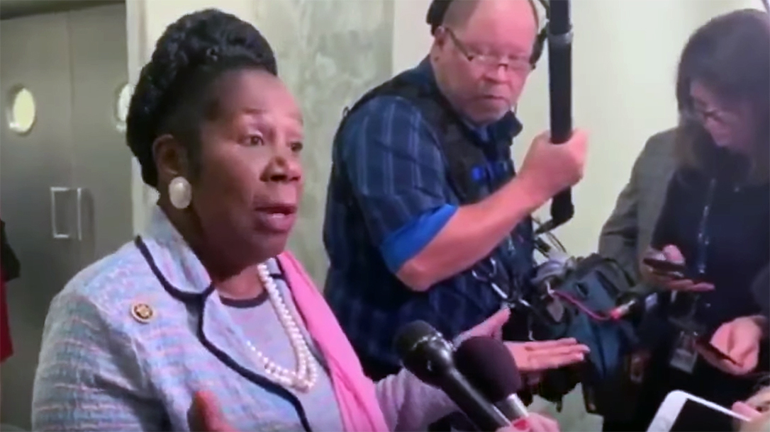 Congresswoman Lee makes ridiculous AR-15 comments.