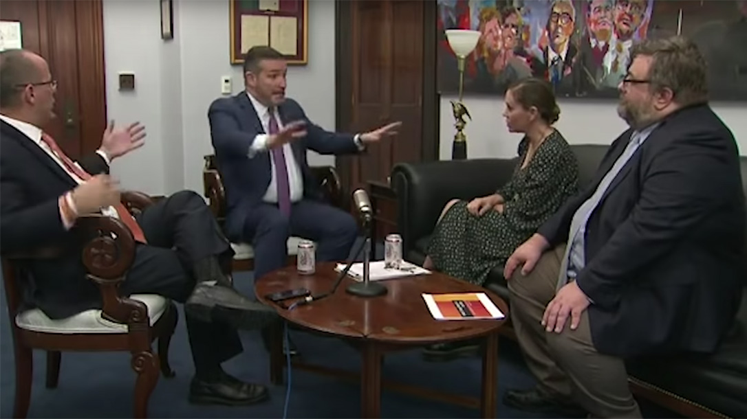 Ted Cruz, Alyssa Milano, Guns, Gun Debate, AR-15