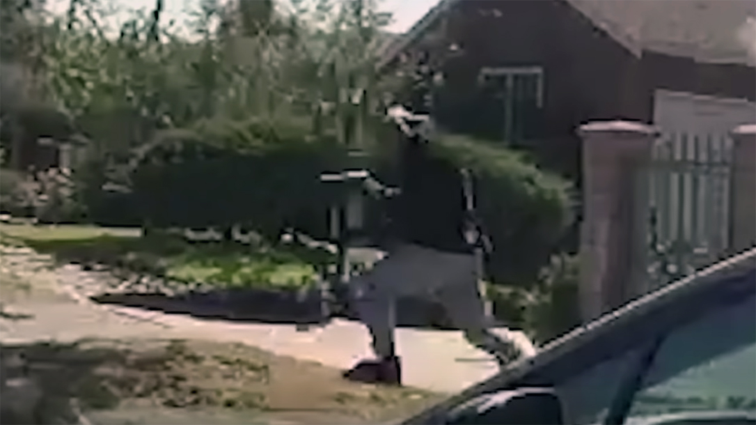 Officers shoot and kill a suspect in wild Los Angeles Police Shootout