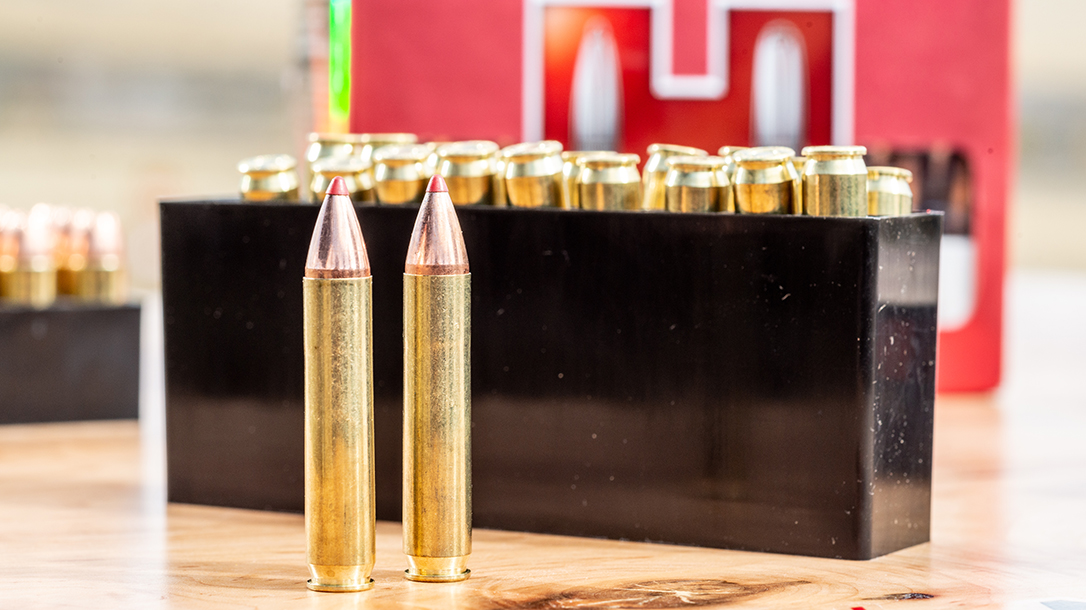 350 Legend Cartridge, Hornady Whitetail Ammo, hunting ammo