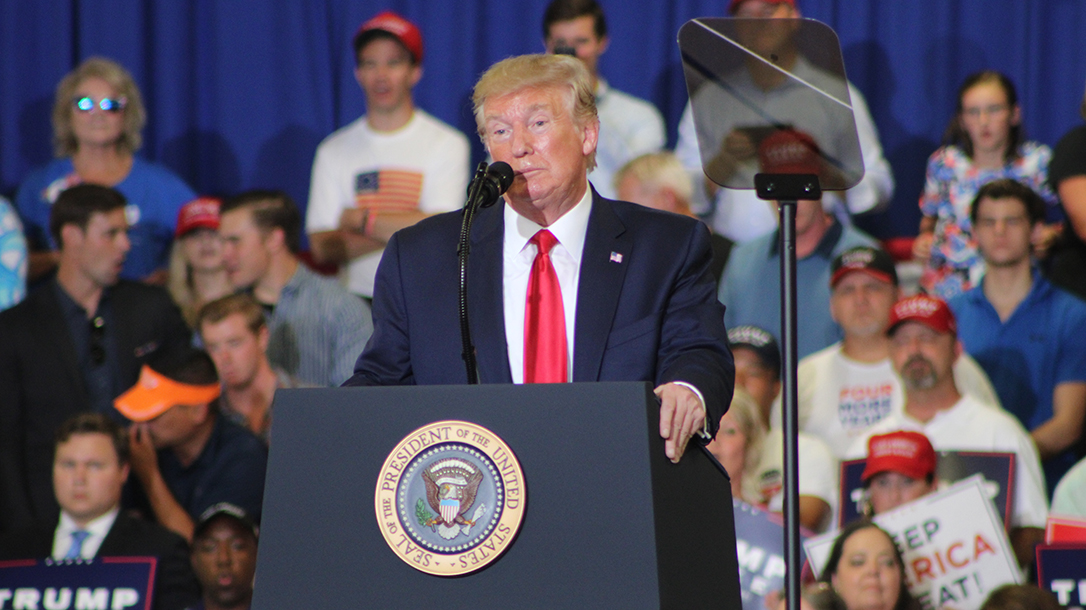 Senators penned an op-ed in USA Today asking Trump to extend background checks.