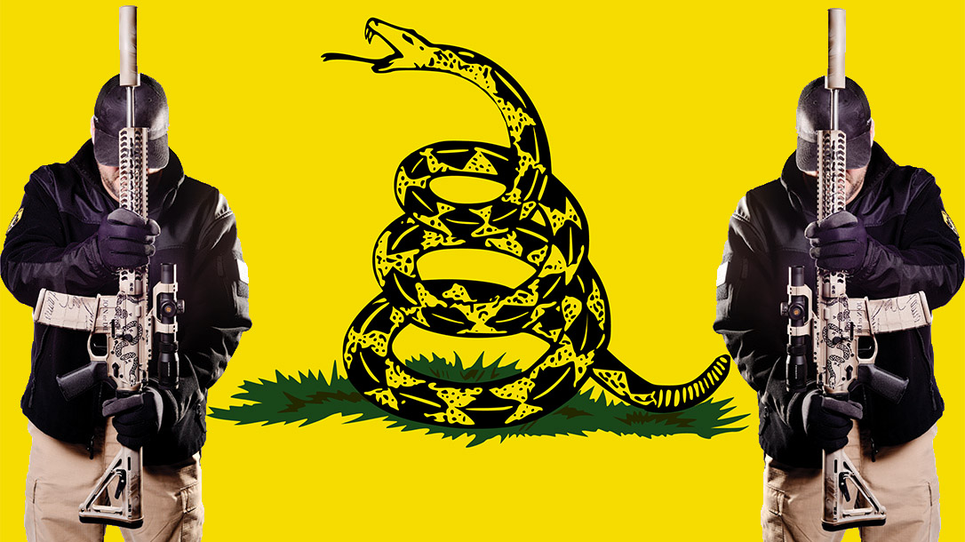 Gadsden Flag, Racist, Racism
