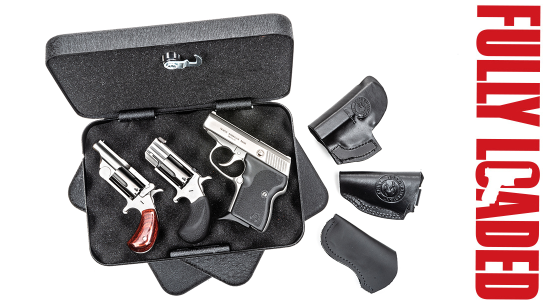 North American Arms fully loaded, North American Arms 22 mag