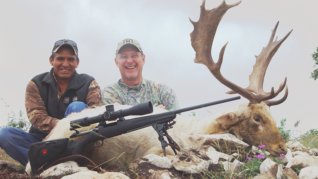 Ruger American Rifle 308, review, buck