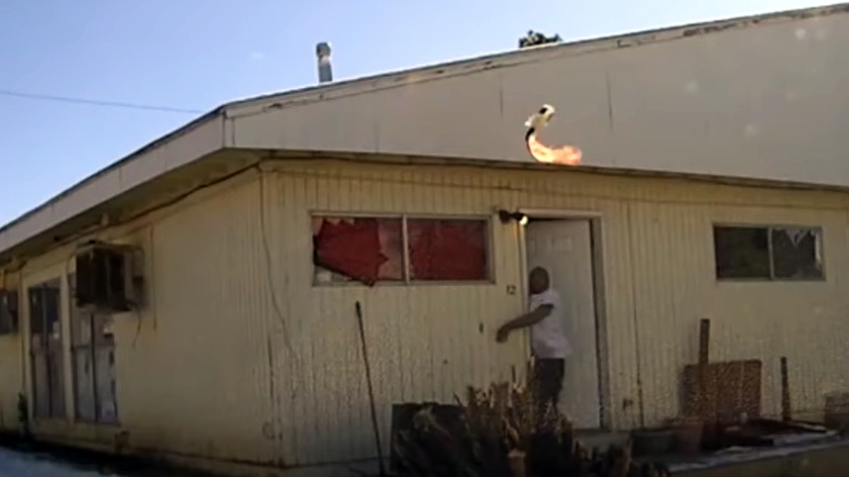 Farmington Police, Humberto Vasquez shooting, molotov cocktail