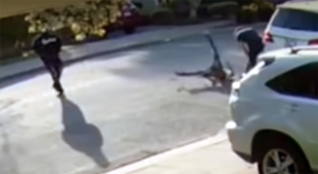 A carjacking victim body slammed a kid trying to rob him at gunpoint.