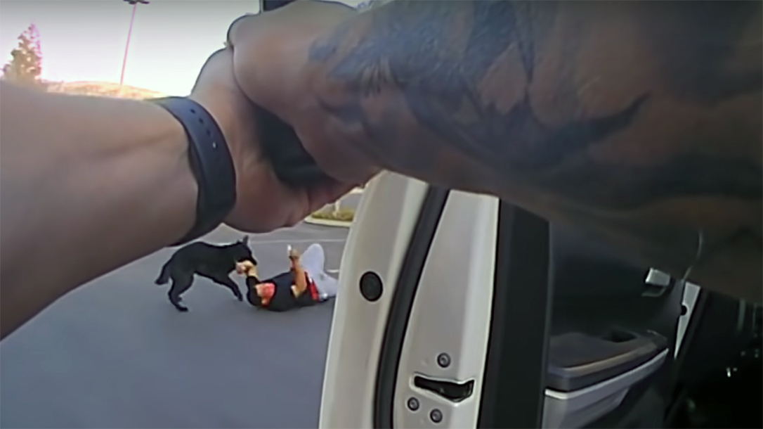 Stephen Patrick Moseley ignored multiple warnings and pulled a gun on police.