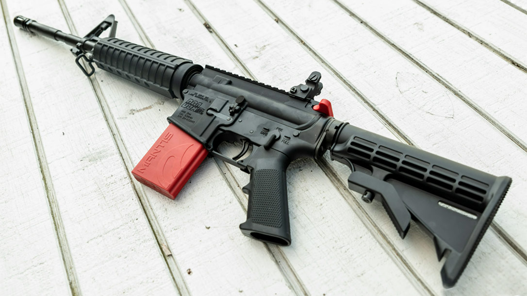 The Mantis Blackbeard.