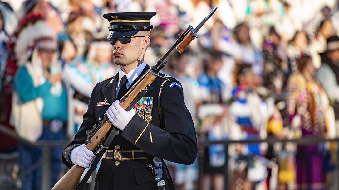 A Sentinel at the Tomb of the Unknown Soldier