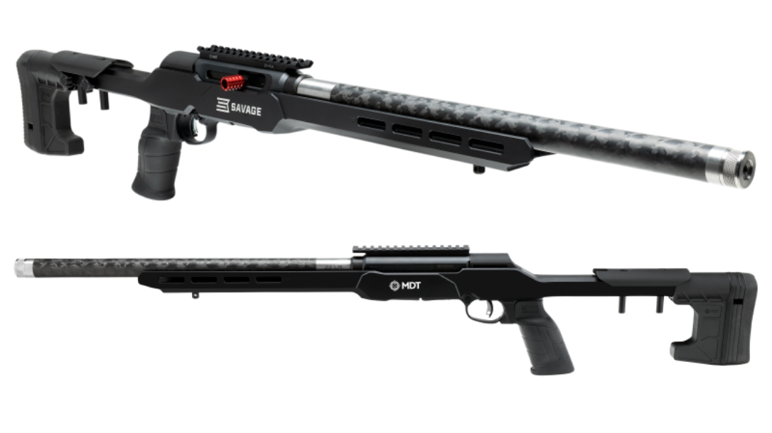 Savage A22 Precision lite