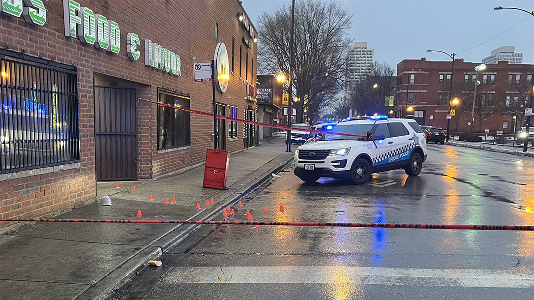 Stray Bullet from a Chicago Security Guard Hits and Kills Grandmother.