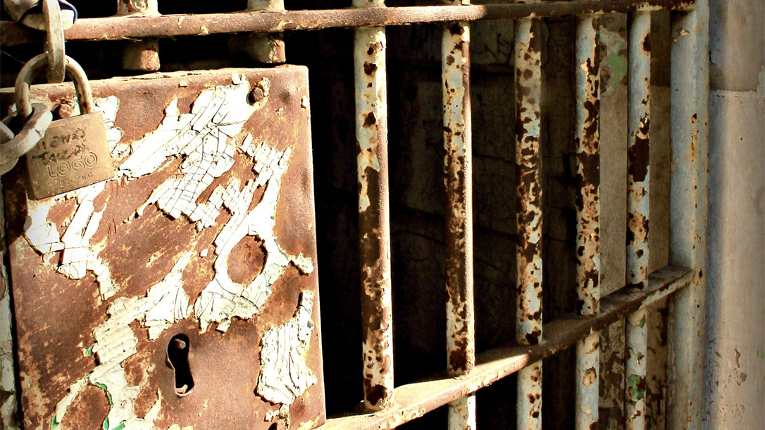 Ukraine Set to Release Prisoners with Combat Experience.