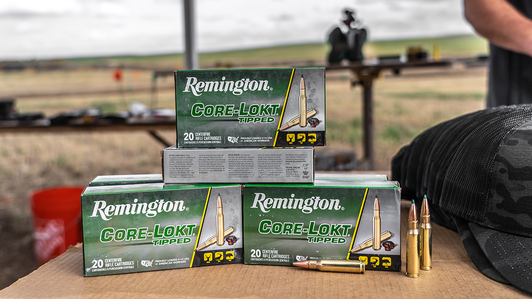 New Rifle Ammunition 2022