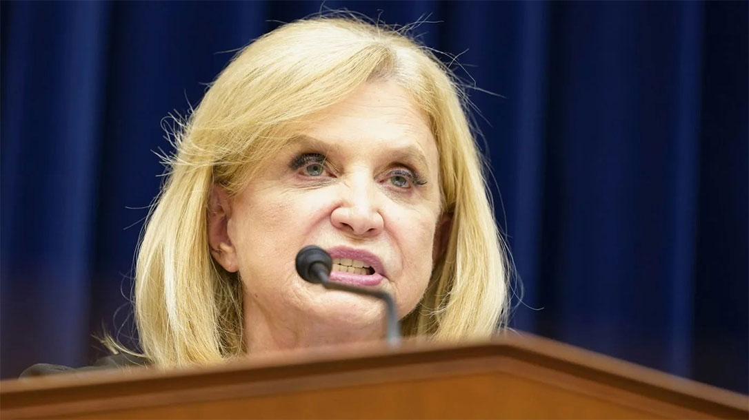 Democrats Dismiss Key Details During Show Gun Control Hearing.