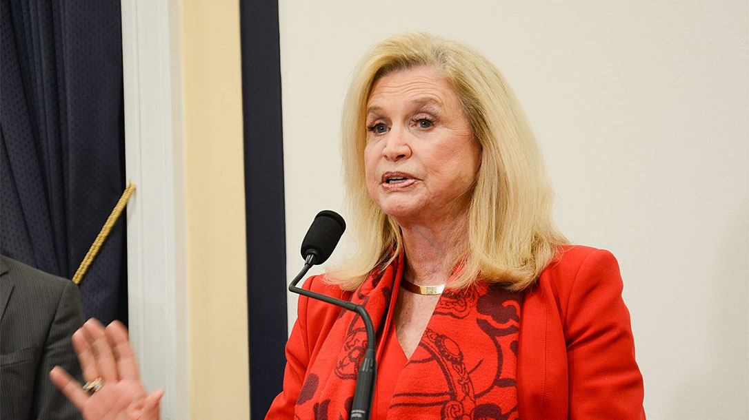 Favored Target for Gun Control in New York.