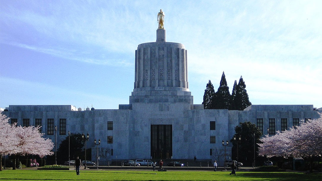 Oregon Passes One of the Strictest Gun Control Measures in the United States.