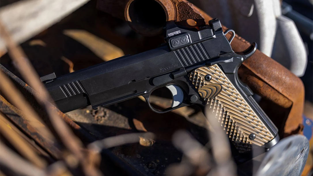 The Dan Wesson 1911 Specialist Optics-Ready Pistol.